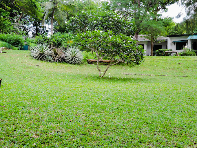 Diani Beachalets (2003) Ltd