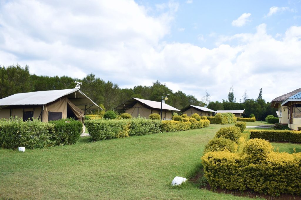 Lalanasi Lodge & Tented Camp