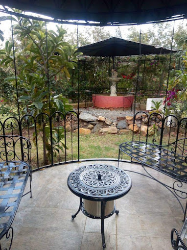 Giraffe Ark Game Lodge