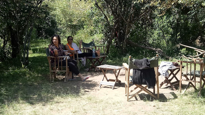 Hammerkop Migration Camp