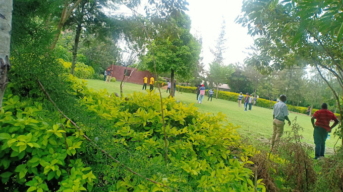 Miniciti Gardens