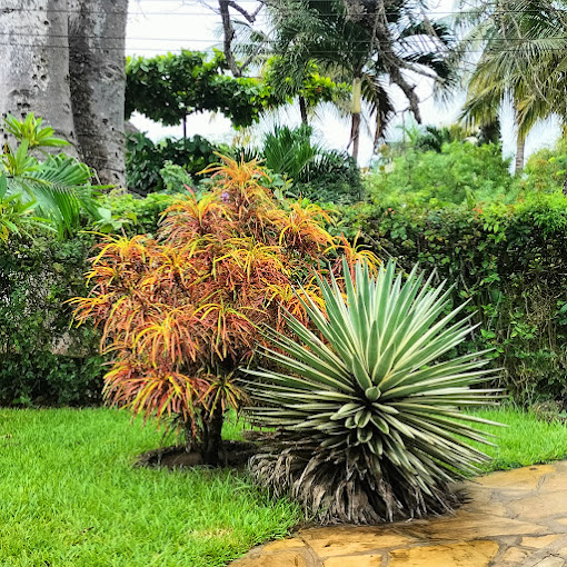 Coconut Grove – Diani Beach Villas