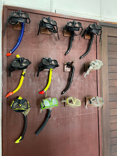 Ocean Tribe – 5 Star Scuba Diving Centre