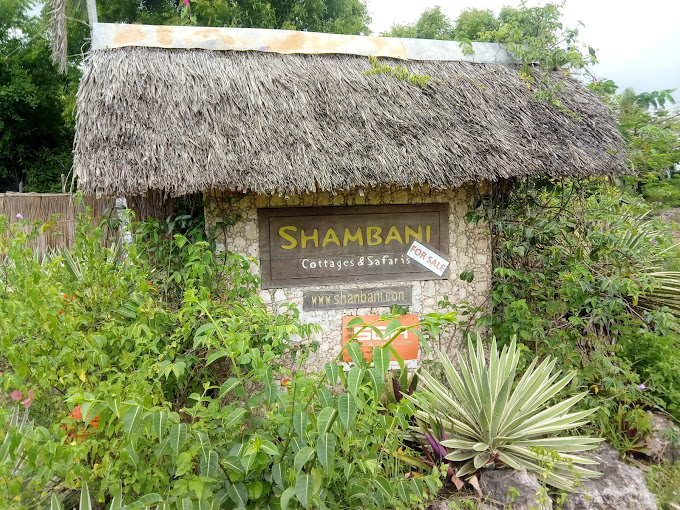 Kongo river (shambani) bungalows