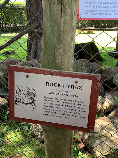 Mount Kenya Wildlife Conservancy