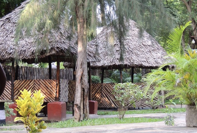 Animo County Retreat