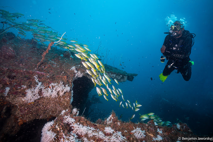 Yellow Fins Diving Kenya