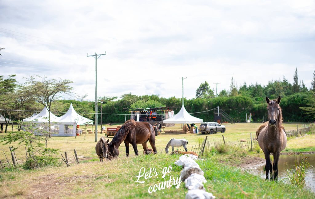 Lalanasi Lodge & Tented Camp