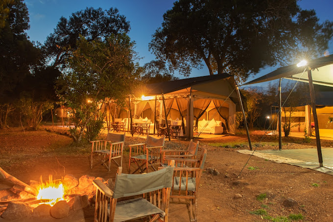 Hammerkop Migration Camp