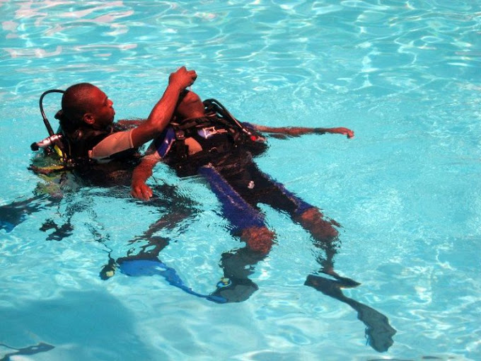 Ocean Tribe – 5 Star Scuba Diving Centre