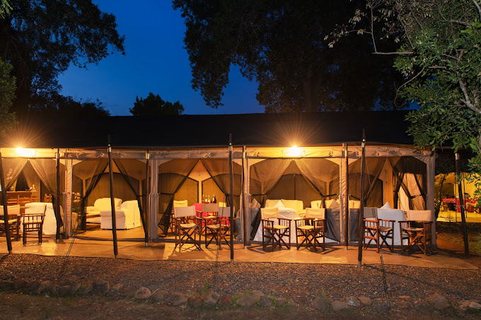 Hammerkop Migration Camp