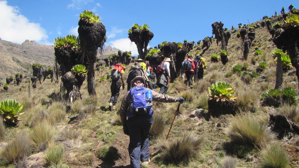 Naro Moru River Lodge Met Station Bandas
