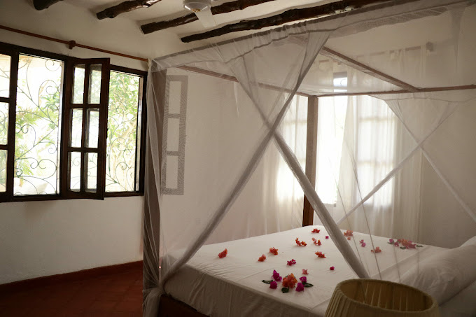 Brown Eagle Beach Villa