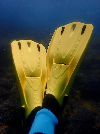 Yellow Fins Diving Kenya