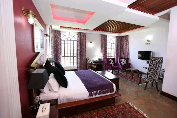 Giraffe Ark Game Lodge