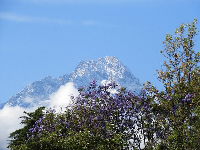 Kibo Slopes Garden Resort