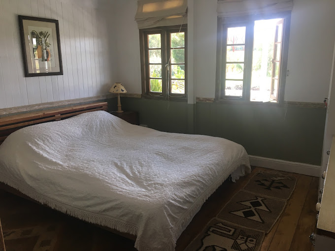 The 100 Year Old House