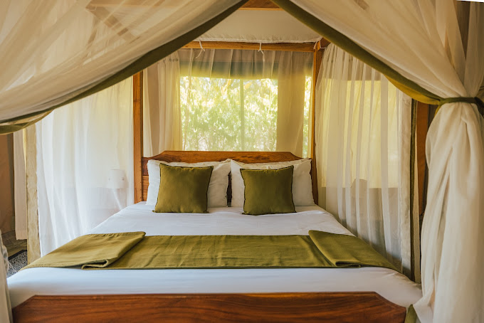 Rhino Watch Safari Lodge