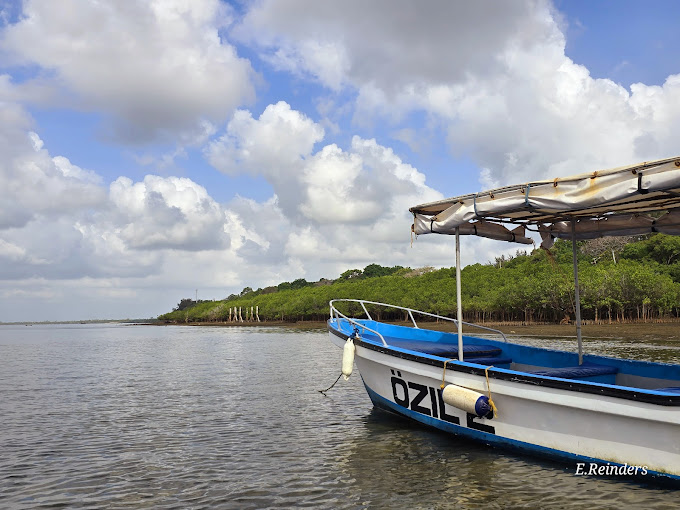 Kisite-Mpunguti Marine National Park