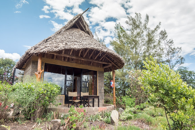 Rhino Watch Safari Lodge