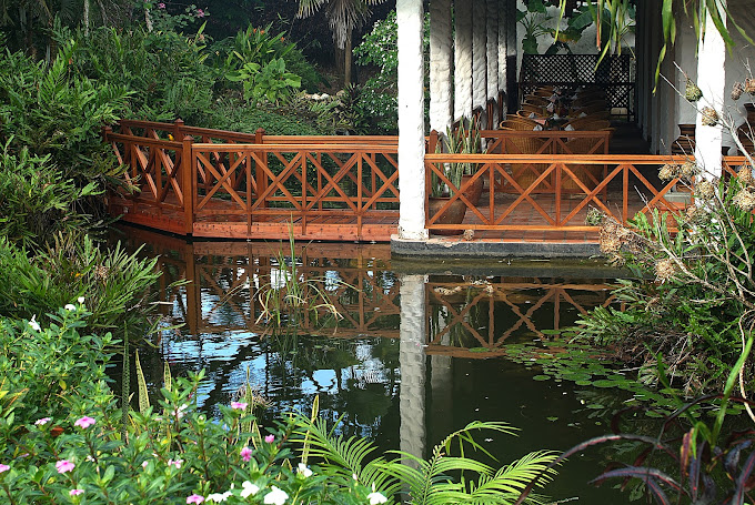 Pinewood Beach Resort & Spa