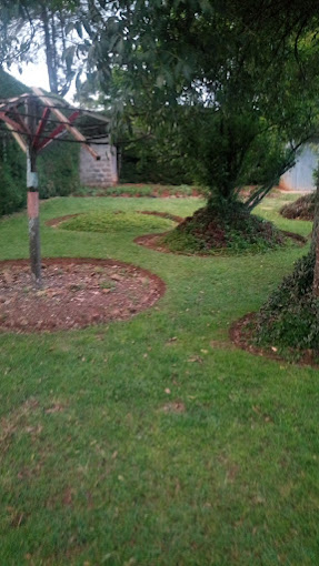 Nyandarua dream hotel