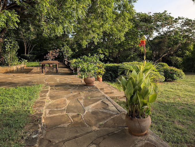 Salty’s KiteSurf Village, Beach Bar and Restaurant