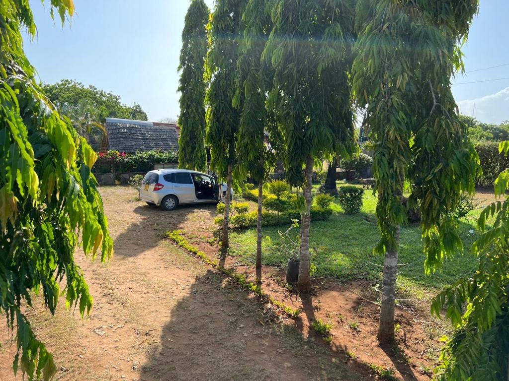 North Breeze Apartments Kikambala