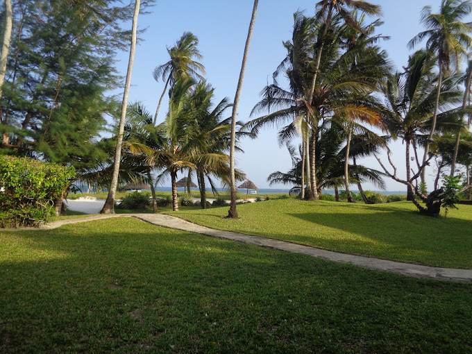 Simba Oryx Beach Cottages