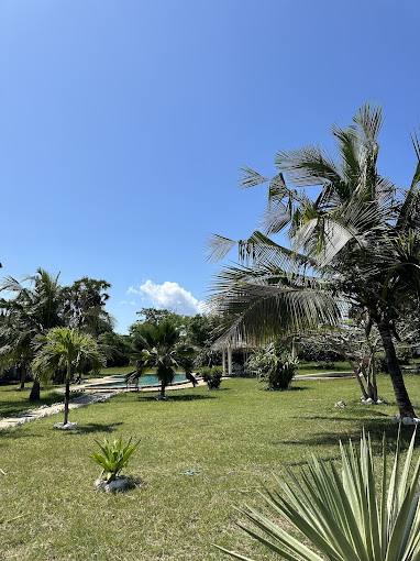Sagwe Riviera Diani