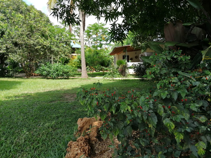 Paradise Garden Msambweni