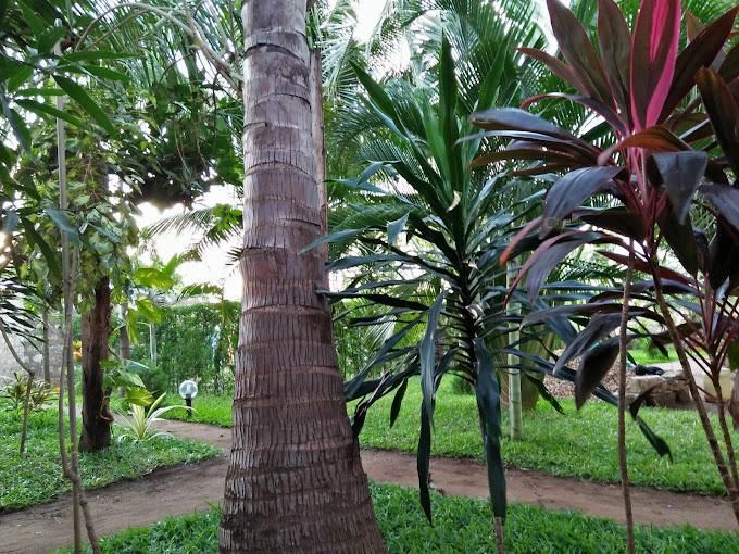 Bennu’s House Richard’s