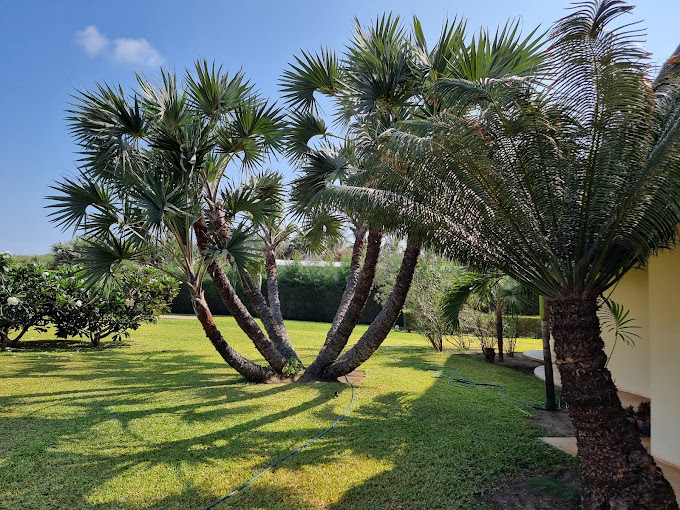 Ndoto Boutique Hotel