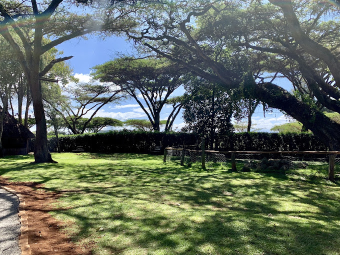 Mount Kenya Wildlife Conservancy