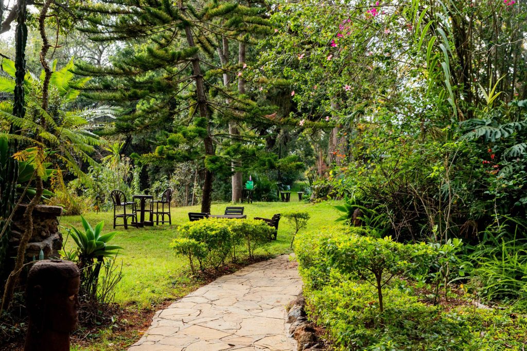 Naro Moru River Lodge Met Station Bandas