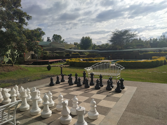 Giraffe Ark Game Lodge