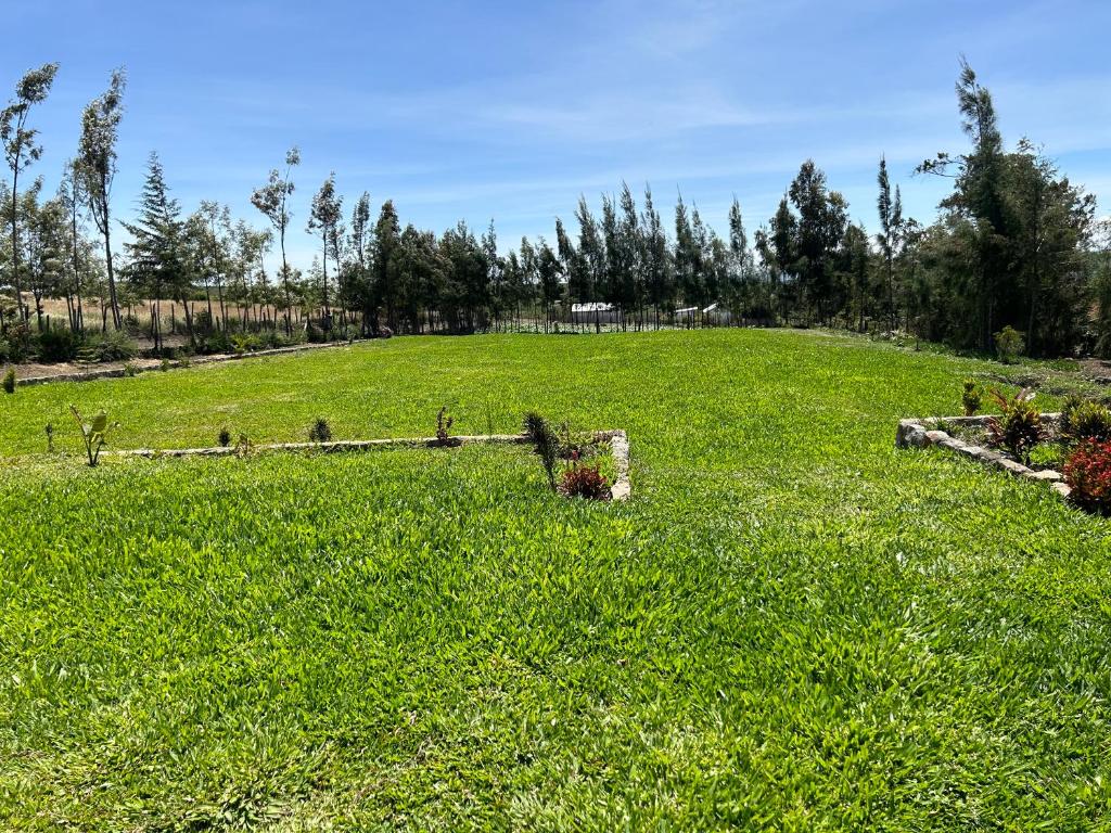 The Fairway Residence