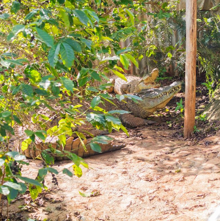 Northwood Gardens & Adventure Park