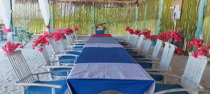 Salama Beach Jacaranda