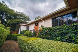 Bara Burritos @ DownTown