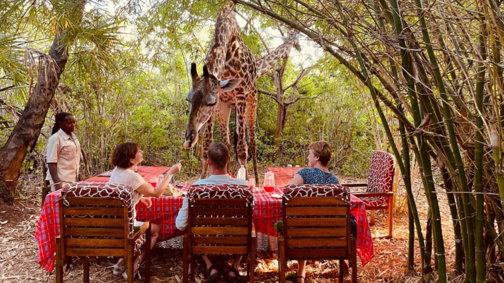 BoraBora Wildlife Park and Luxury Tented Safari Camp Diani