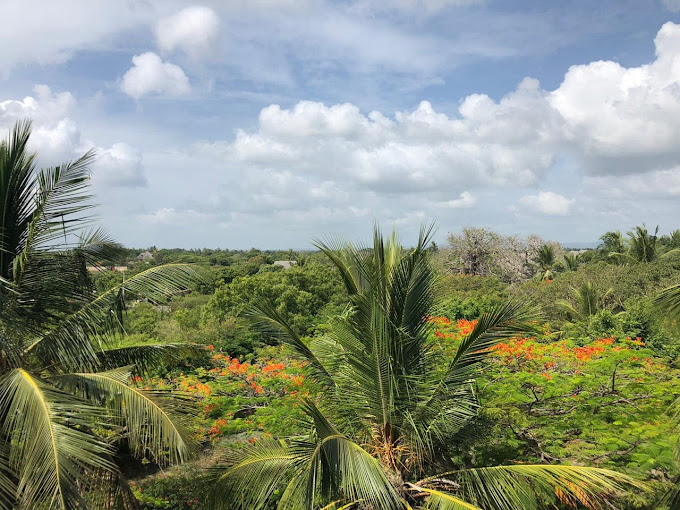 Kongo river (shambani) bungalows