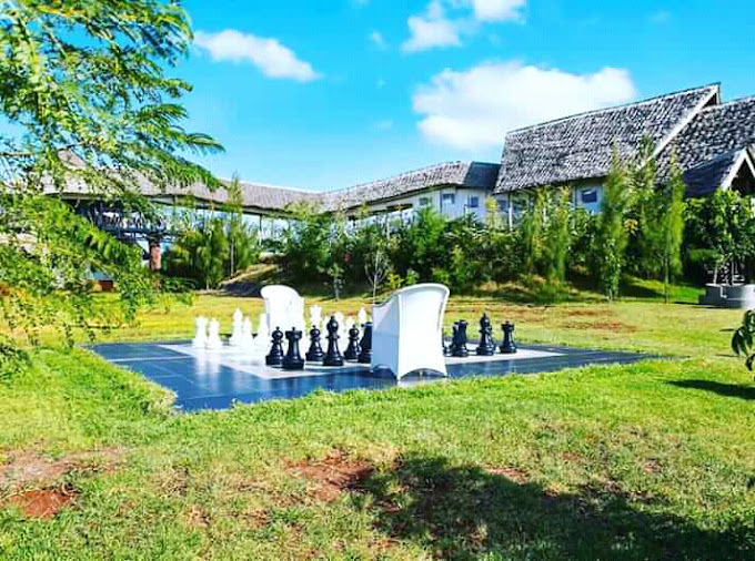 Giraffe Ark Game Lodge