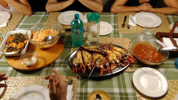 Kongo river (shambani) bungalows