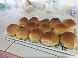 Mt. Kenya Guest House