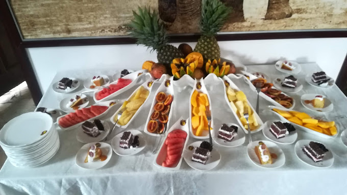 Giraffe Ark Game Lodge