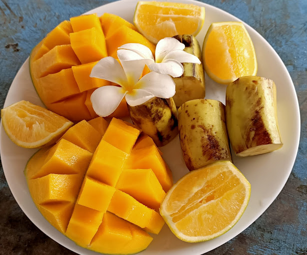 Salama Beach Jacaranda