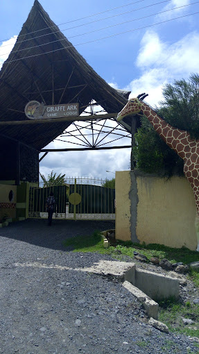 Giraffe Ark Game Lodge