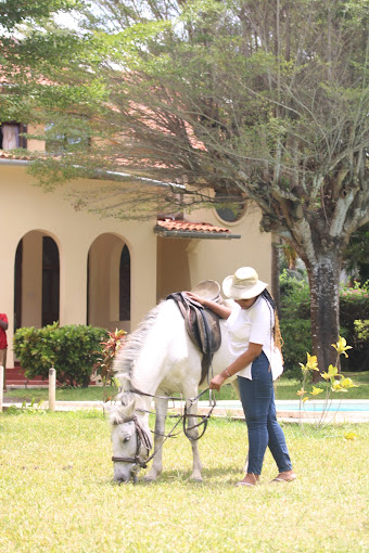 Malindi Chrystal Palace