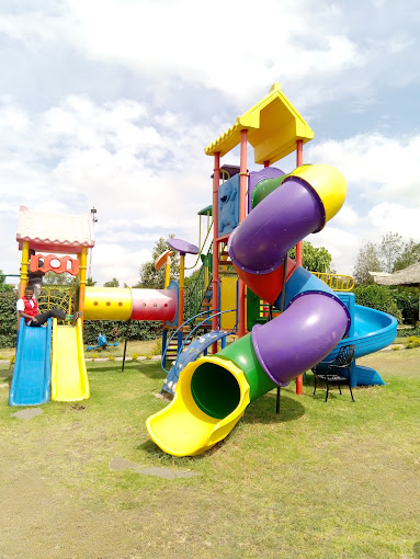 Giraffe Ark Game Lodge